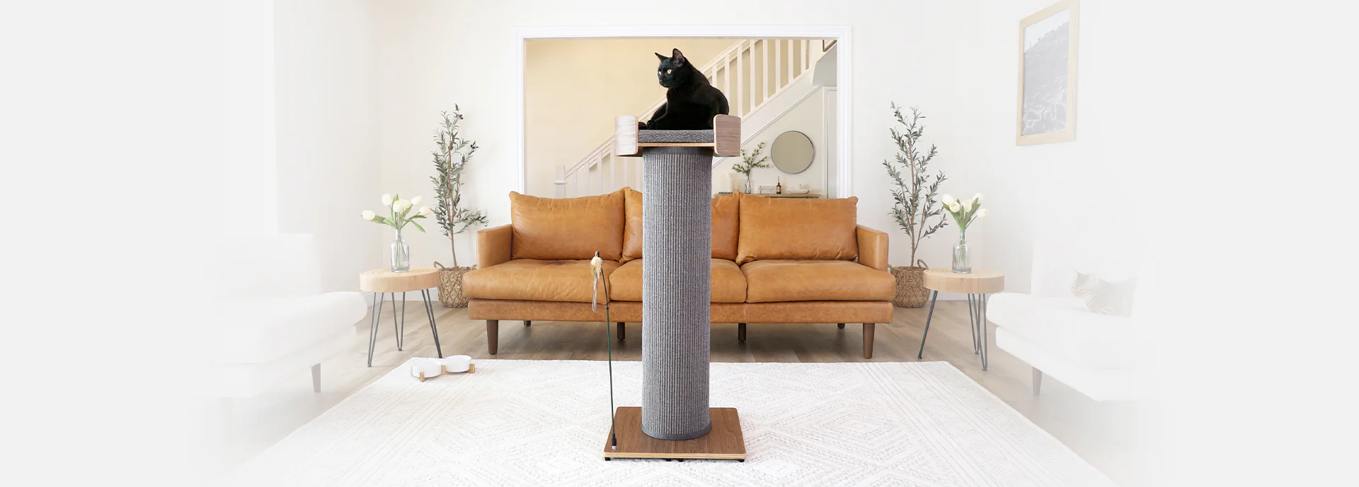 Unleash Your Cat’s Wild Side