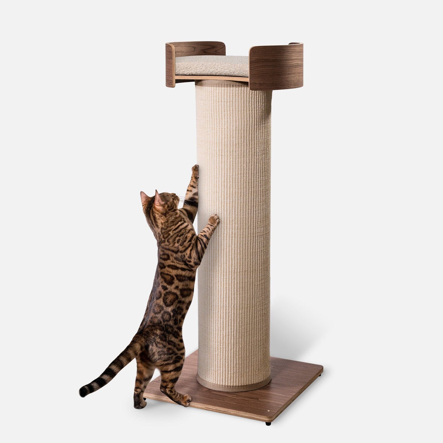 Cat Furniture
